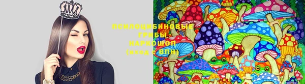 ГАЛЛЮЦИНОГЕННЫЕ ГРИБЫ Беломорск
