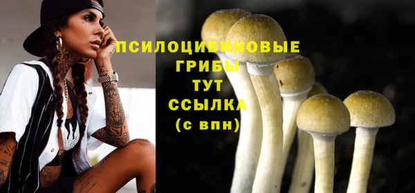 крисы Белоозёрский