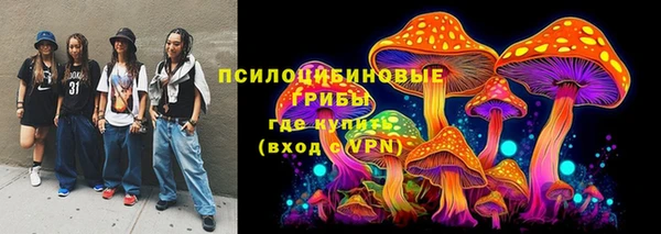 гашик Арсеньев