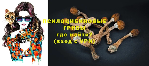 ГАЛЛЮЦИНОГЕННЫЕ ГРИБЫ Беломорск