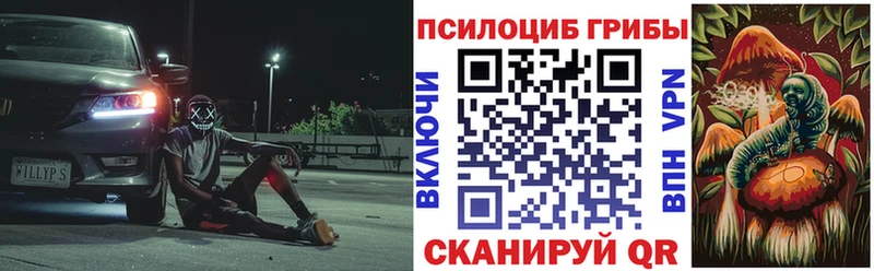 Псилоцибиновые грибы мицелий Сельцо