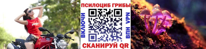 Псилоцибиновые грибы Psilocybe  Купить закладки  Сельцо 