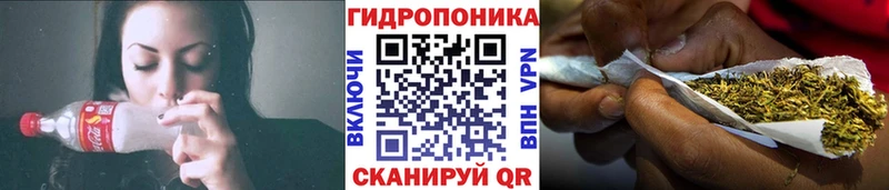 Купить Сельцо Каннабис SATIVA & INDICA